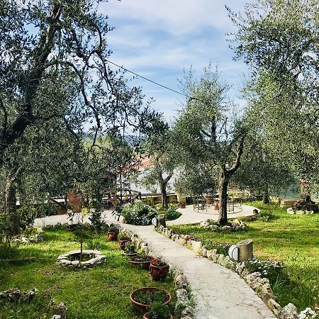 לינה וארוחת בוקר ויאסטה Casale Degli Angeli מראה חיצוני תמונה